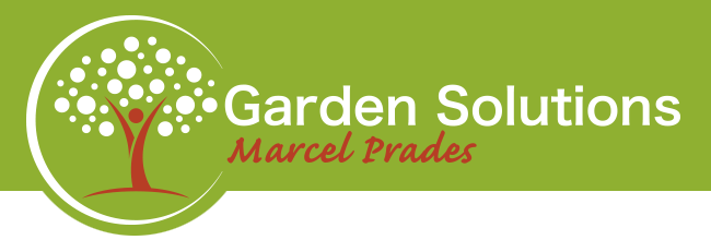 Garden Solutions - Solucions imaginatives en paisatgisme urbà i domèstic